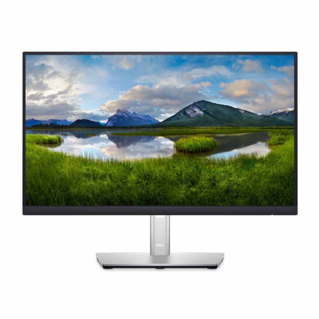 dell monitor P2222H