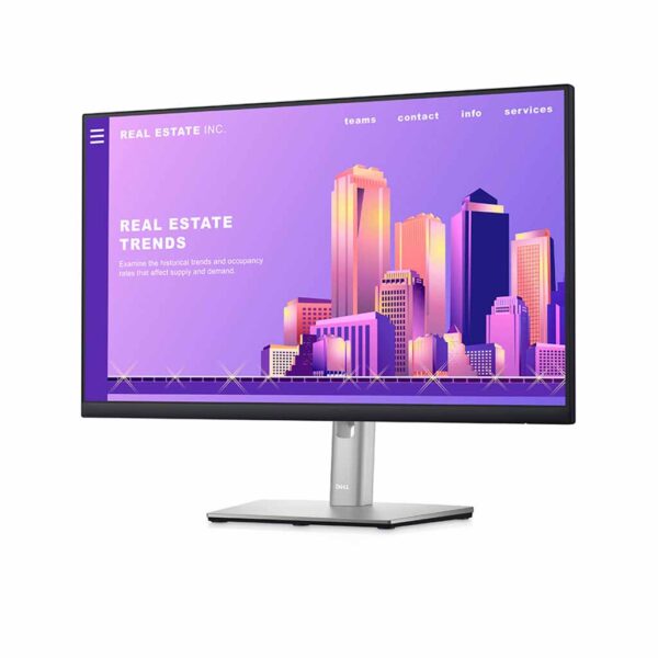 dell monitor P2422H fullhd ips