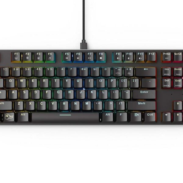 gaming keyboard mechanical rgb tenkeyless gaming