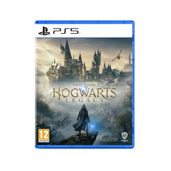 igra za konzola sony playstation 5 hogwarts: legacy