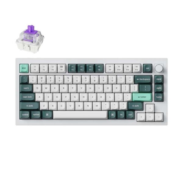 gaming mehanicka tastatura keychron q1 rgb gateron nebula switch