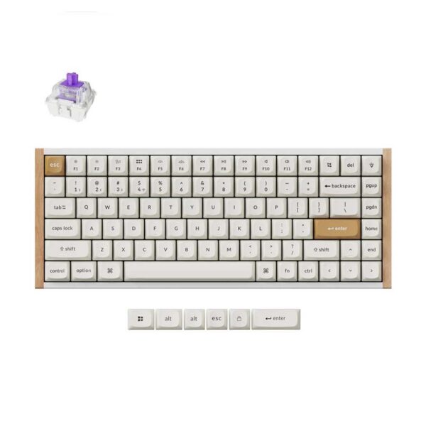 mehanicka tastatura keychron k2 he special edition rgb 75% bela