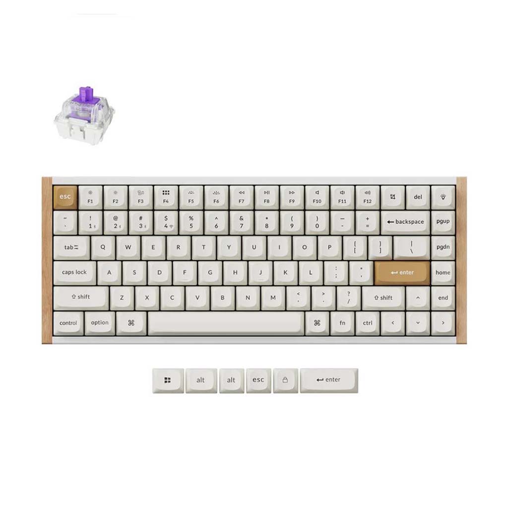 mehanicka tastatura keychron k2 he special edition rgb 75% bela