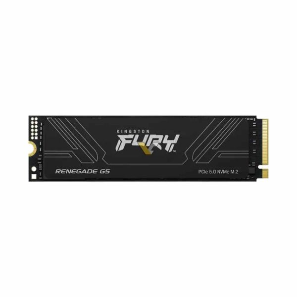 ssd disk kingston 1tb fury renegade g5